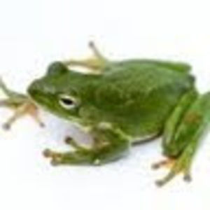 Meet your Posher, Charlotte